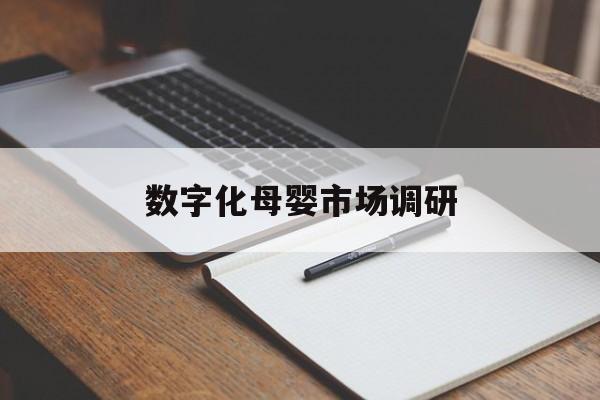 承德市数字化母婴市场调研(数字化母婴市场调研报告)